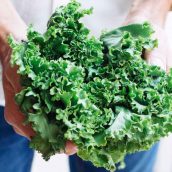 Photo of fresh kale.