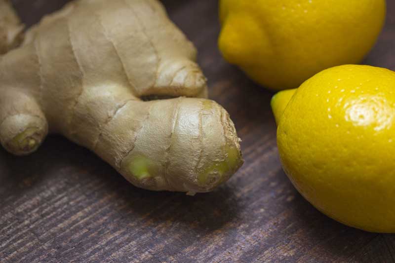Photo of ginseng and lemons.
