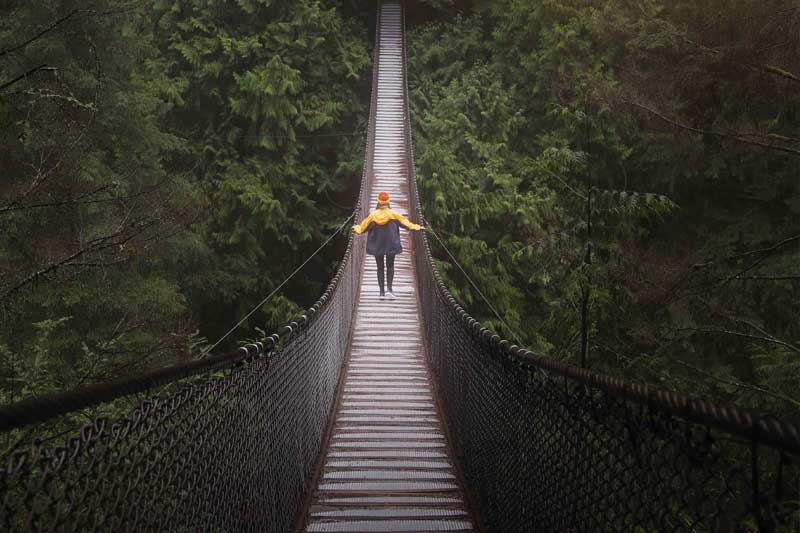 Photo of tightrope bridge.