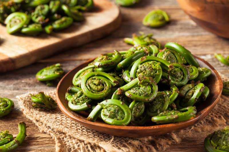 Photo of a bowl of fiddleheads.