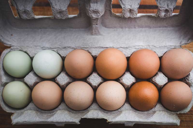 Photo of a dozen eggs in a carton.